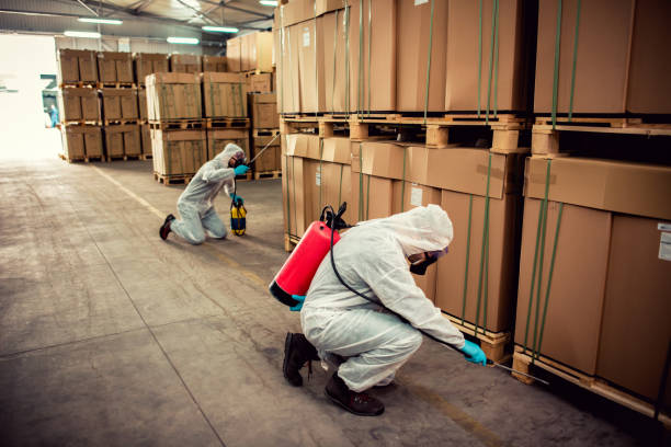 Best Mosquito Control Services  in Jacksonville, TX