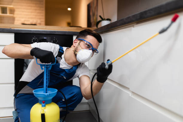 Best Local Pest Control Services  in Jacksonville, TX