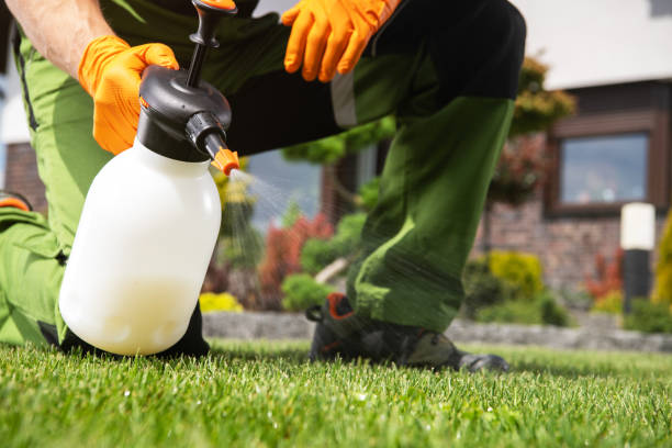  Jacksonville, TX Pest Control Pros