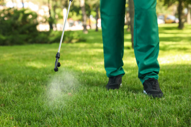 Best Best Pest Control Companies  in Jacksonville, TX