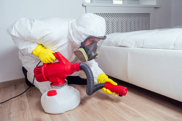 Best Pest Removal Services  in Jacksonville, TX