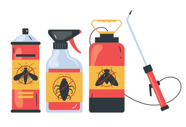 Insect Control in Jacksonville, TX