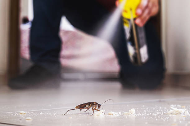 Best Pest Inspection Near Me  in Jacksonville, TX