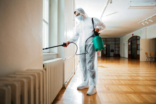 Best Termite Control Services  in Jacksonville, TX