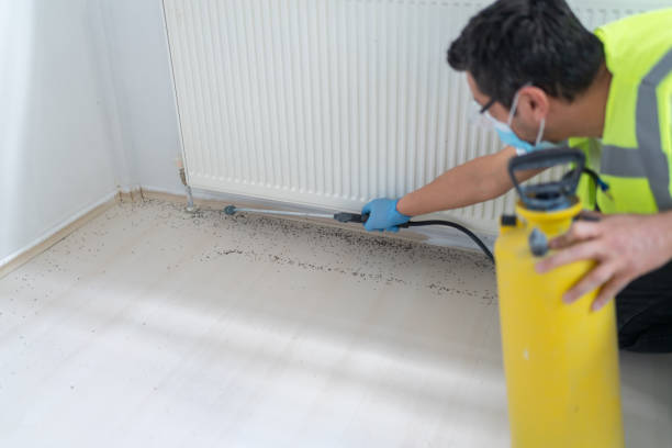 Best Termite Control Services  in Jacksonville, TX